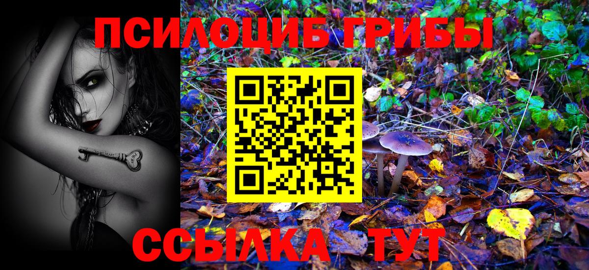 Псилоцибиновые грибы прущие грибы Медногорск